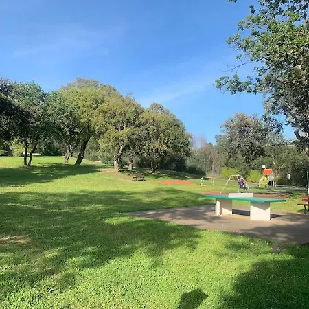 **** Bord De Golfe De Saint Tropez * Grimaud